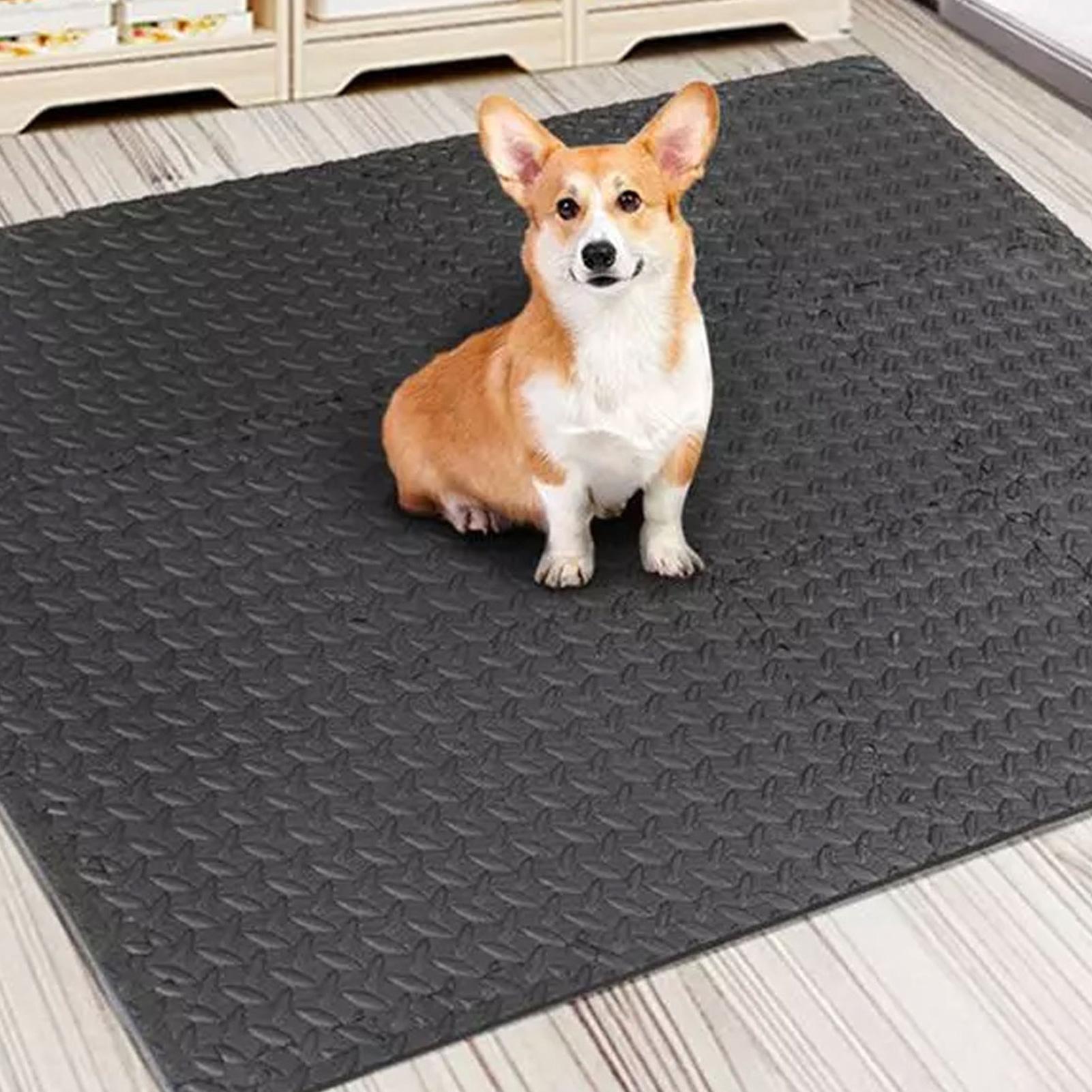 แผ่นรองออกกำลังกายแบบจิ๊กซอว์  - Home Gym For Toddlers บทวิจารณ์และราคา